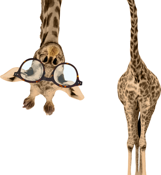 Giraffe_Brille_sRGB